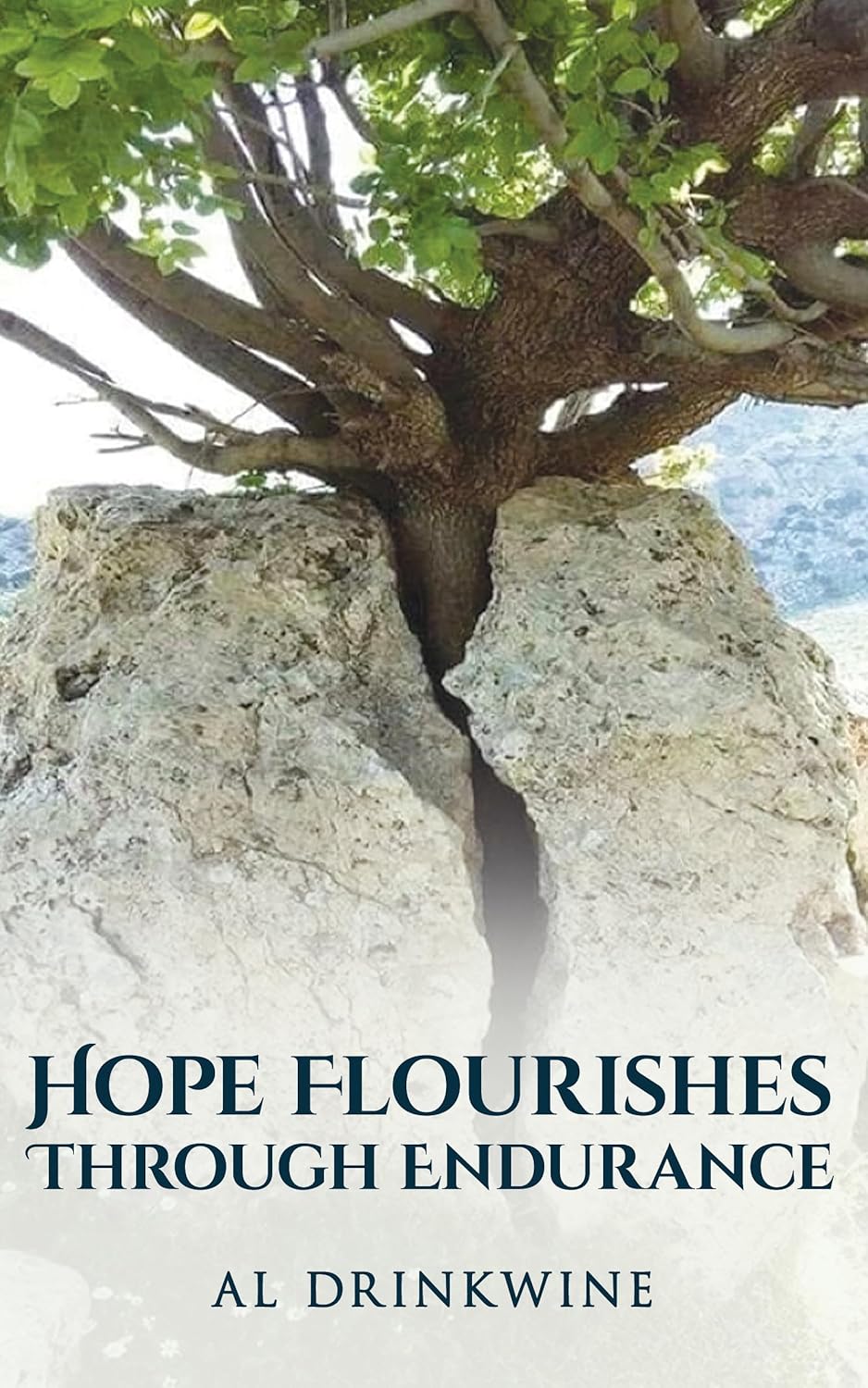 Hope Flourishes Through Endurance book cover